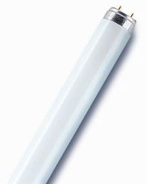 Лампа люминесцентная 18 Вт G13 6500К L 18W/765 T8 4008321959669 OSRAM