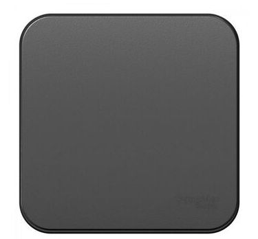 Выключатель 1-кл. ОП Blanca 10А IP20 (сх. 1) 250В с изолир. пластиной антрацит SchE