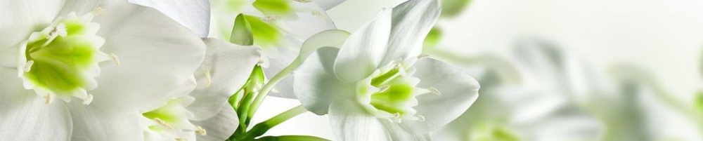 Фартук ABS 600х3000 Нарциссы Уралпласт