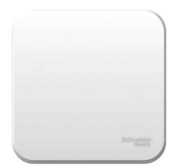 Выключатель 1-кл. ОП Blanca 10А IP20 (сх. 1) 250В с монтаж. пластиной бел. SchE