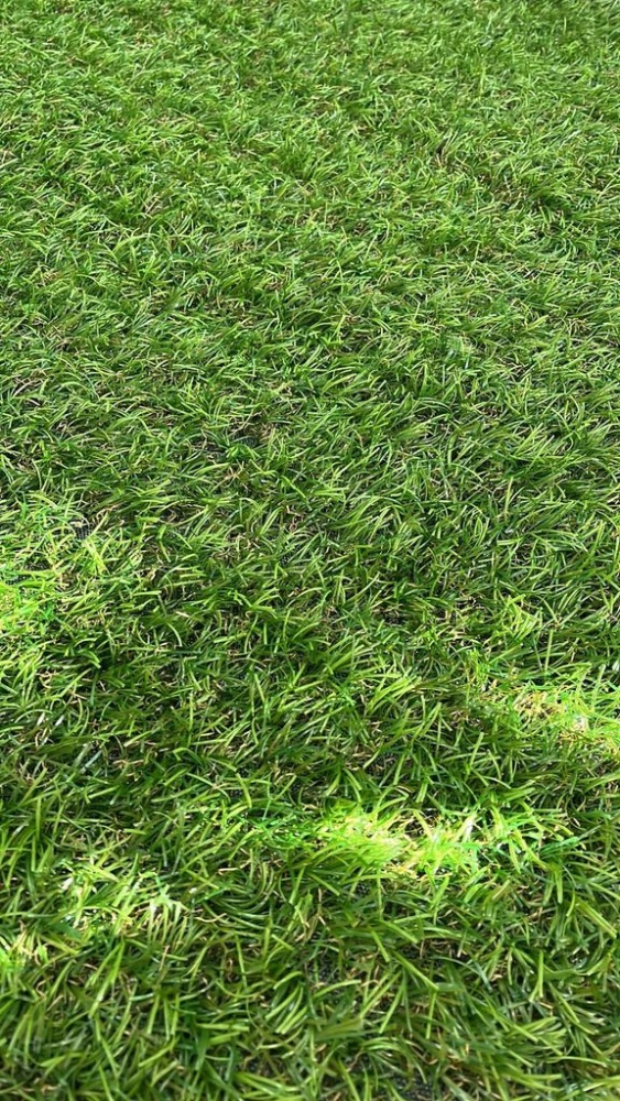 Коврик из искусственной травы Grass Mix 30(100*200)