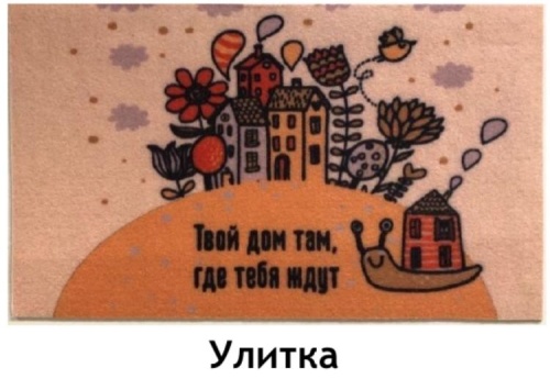 Коврик придверный велюр 45х75 см Улитка